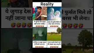 Reality Motivation Memes | Funny But Inspiring Video #motivation #inspiration #quotes #memes
