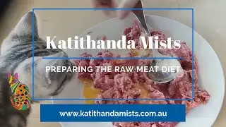 HOW I PREPARE MY KITTENS & CATS RAW MEAT DIET @ Katithanda Australian Mists