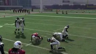 Free Offense EBook Panthers/Eagles