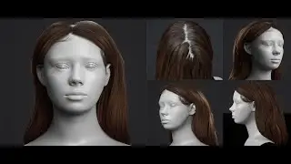 TEST &mdash; Kirtted 3D | HairCards Workflow