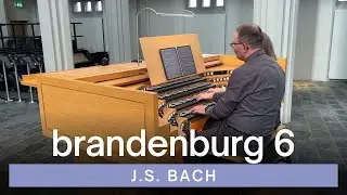 J.S. Bach - Brandenburg Concerto No. 6: Parts II and III, BWV 1051 | Reykjavik Hallgrimskirkja