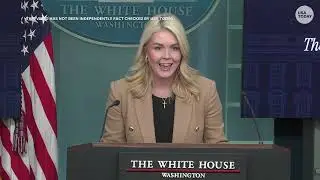Karoline Leavitt attacks journalist amid question about ICE agents after Renee Good shooting