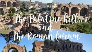 THE PALATINE HILL and the ROMAN FORUM. #travel #rome #historical #italy  #archeology