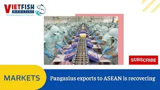 NEWS - Pangasius exports to ASEAN is recovering - VIETFISH MAGAZINE