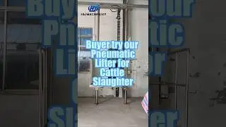 Pneumatic Lifter for Cattle Slaughter Line | Abattoir Equipment & Carcass Handling