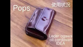 レーデルオガワIDEA使用　Pops 使用状況