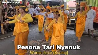 Tarian Nyenuk Warna Jenar (Kuning) || Upacara Nyenuk Karya Yadnya Dadia Arya Dauh 28 Desember 2024