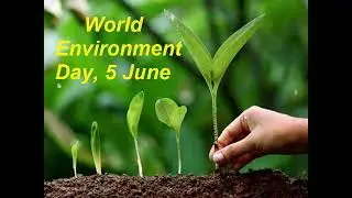 HAPPY WORLD ENVIRONMENT DAY || Denimal
