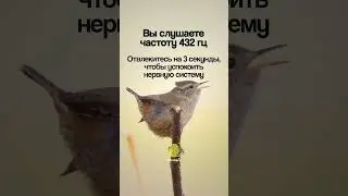 Вы слушаете частоту 432гц. Отвлекитесь на З секунды, чтобы успокоить нервную систему. #нервы #топ
