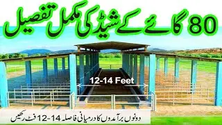 dairy shed design in pakistan II best shed II dairy farm shed II