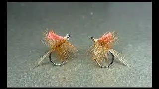 Palmer Roux Tag rouge
