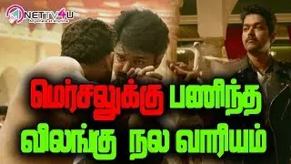 Vijay's Mersal Problem Solved I மெர்சலுக்கு பணிந்த விலங்கு நல வாரியம் I Mersal Latest Updates