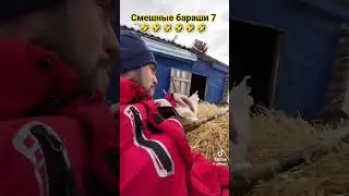 смешные бараши 7 🤣🤣🤣🤣🤣🤣