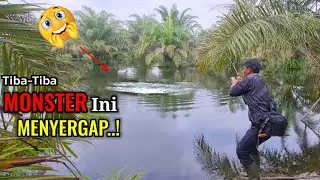 GAK DI DUGA.!!! SAMBARAN DAN TARIKAN DAHSYAT IKAN INI MEMBUAT SAYA PENASARAN