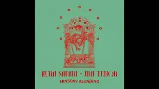 Aura Safari & Jimi Tenor - Bodily Synesthesia