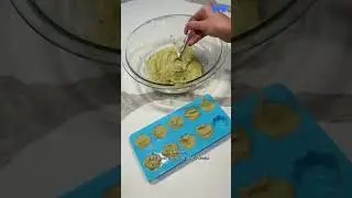 Healthy Homemade Dog Treats 🐾 Save Money & Keep Pets Happy with Bone It Up!