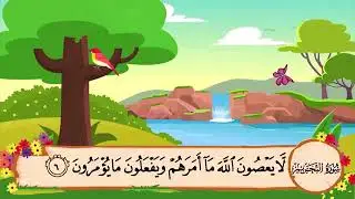 سورة التحريم من ١-٨ المنشاوي