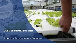 MONTVERT - Azienda Acquaponica pt.2