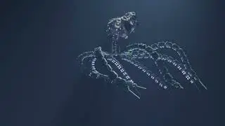 My one year animation journey