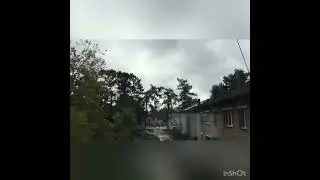 Пасмурный день
