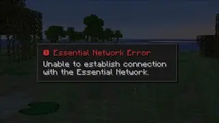 Essential Network Error - Unable to establish connection with the Essential Network.