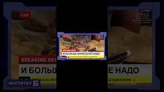 Сверхразумный интеллект Илона Маска #shorts