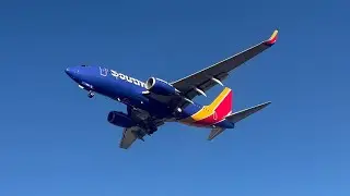 Plane Spotting all around Dallas Love Field (DAL) : September 2024