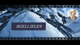 BIJELI JELEN-VLADIMIR NAZOR