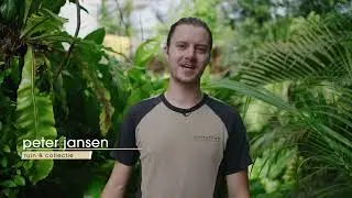 Plantendokter #3:  Standplaats kiezen voor je kamerplant