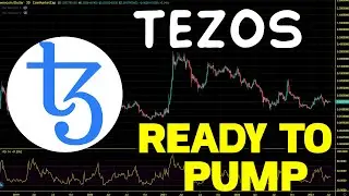 Tezos (XTZ) Ready For Bear Market Altcoins Season.  XTZ Price Chart Analysis 2023