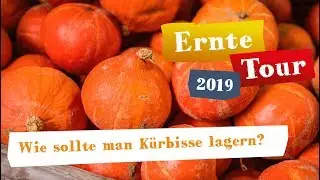 So lagern Sie K&uuml;rbisse richtig &ndash; &bdquo;Deutschland &ndash; Mein Garten.&ldquo; Ernte-Tour 2019