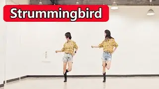 [왕초급] Strummingbird (Choreo : Maddison Glover) - Line Dance