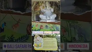 Bali Safari Park | Indonesia #youtubeshorts #shorts