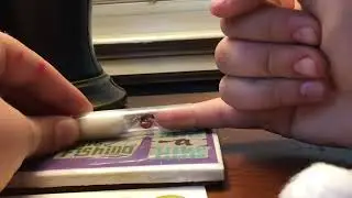 Orange carpenter ant queen sprays formic acid