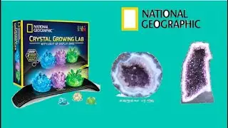 The Crystals are growing! NATIONAL GEOGRAPHIC CRYSTAL GROWING SET!