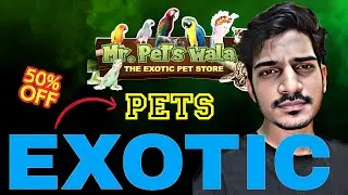 &ldquo;EXOTIC Pet Birds GALORE! 🐒🦎 Mr. Pets Wala's Unbelievable Collection!