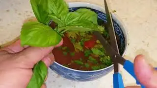 Vegetable Soup with Fresh Herbs