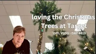 DITL VLOG - loving the Christmas trees at Target/Starting over in Florida (day 4613)