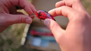 Fishing unboxing