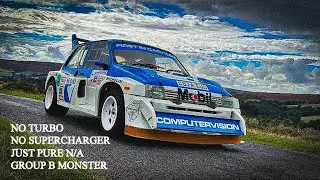 DiRT Rally 2.0 | MG Metro 6R4 | Group B (4WD) Daily Challenge | Camino a Coneta | Argentina