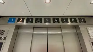 Westinghouse/Schindler Traction Armstrong Elevators @ Tampa International Airport Tampa Florida