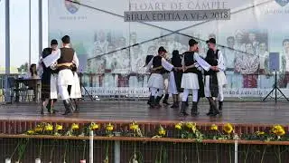 Bîrla Floare de cîmpie Liviu Dafinescu Baia de fier