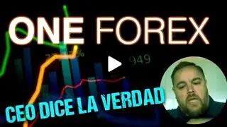 ( CEO ) of ONE Ecosystem tells us about the truth of ONE Forex and its delay ...