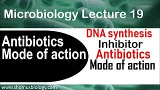 DNA synthesis inhibitors antibiotics | mode of action