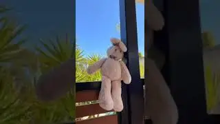 Snuggle Up with Our Irresistible Bunny Plush! 🐰❤️ #minisoaustralia #plushtoy
