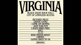 Pharrell Williams - Virginia (2024)