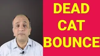Dead Cat Bounce Rally - Nifty Technical Analysis 20 July 2019 (Hindi)