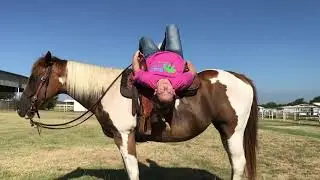 Playday horse deluxe! Ropes, barrels and more!!