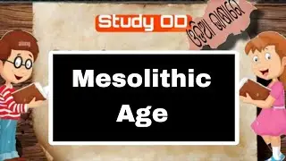 Mesolithic Age // Pre Historic Period// Ancient Indian History// History Class in Odia// Patha Time