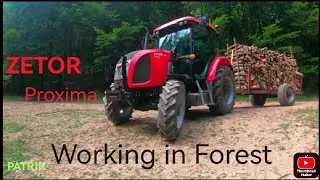 ZETOR Proxima  - Work in Forest | Timber Transport |  / Odvoz dreva /  Hard Work /Logging/Pure sound